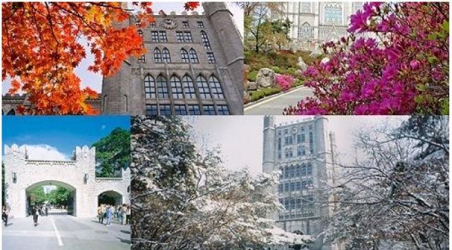 Sửa chữa mái tôn ở Tp HCM